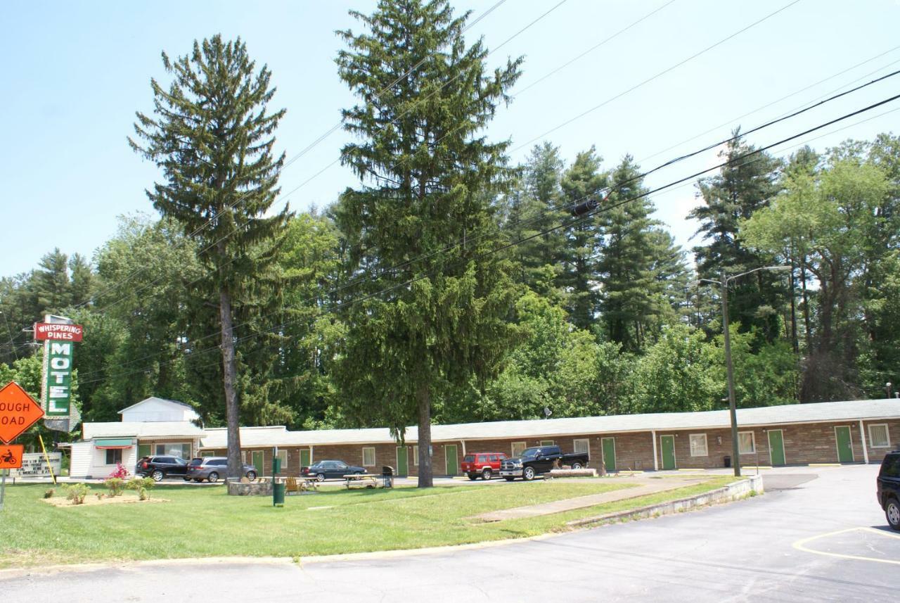 Whispering Pines Motel - Asheville Exteriér fotografie